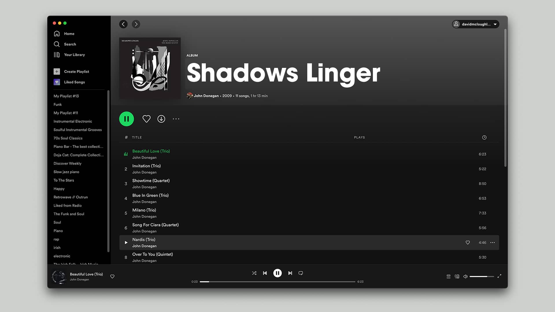 Shadows-Linger-Spotify